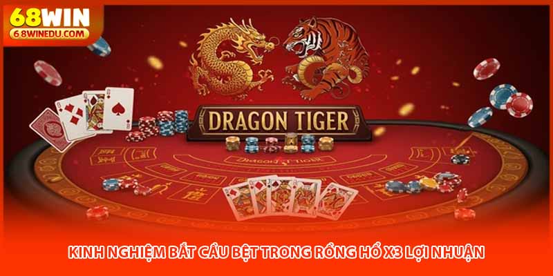 Kinh Nghiệm Bắt Cầu Bệt Trong Rồng Hổ X3 Lợi Nhuận